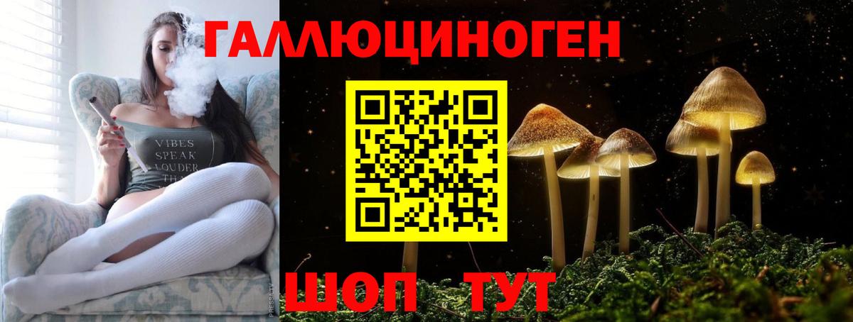 Галлюциногенные грибы Psilocybine cubensis  Вход с VPN  Усинск 